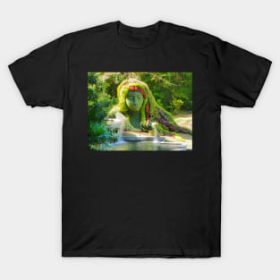 Fountain in botanical garden T-Shirt